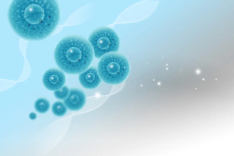 動脈硬化のメカニズム