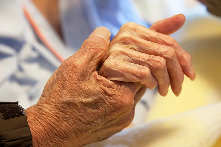 HbA1c(エイチ・ビー・エー・ワン・シー) HbA1c(エイチ・ビー・エー・ワン・シー)