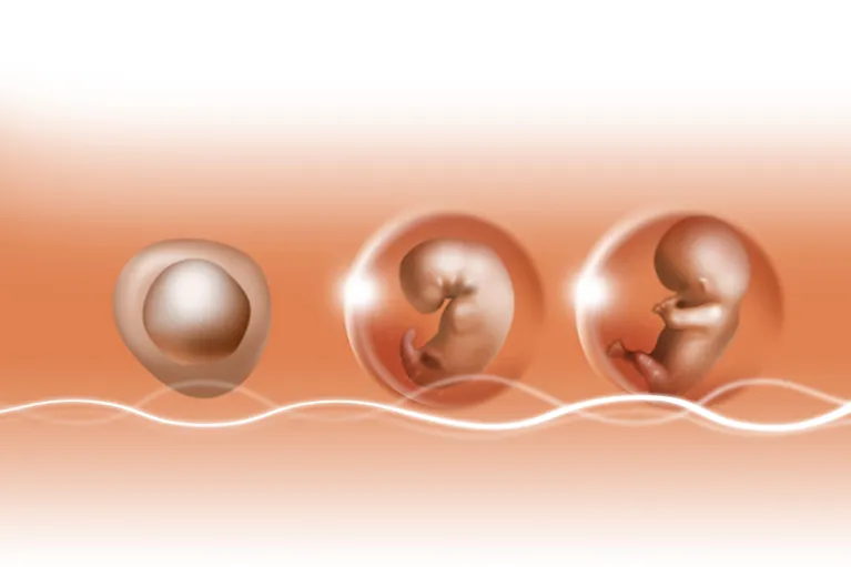 プラセンタ療法とは